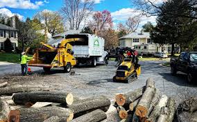 Best Tree Mulching  in Timberlake, VA
