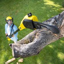 Leaf Removal in Timberlake, VA