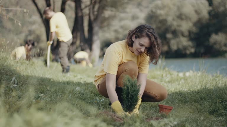 Best Lawn Mowing  in Timberlake, VA