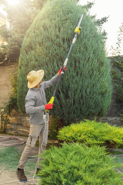 Best Lawn Watering Services  in Timberlake, VA